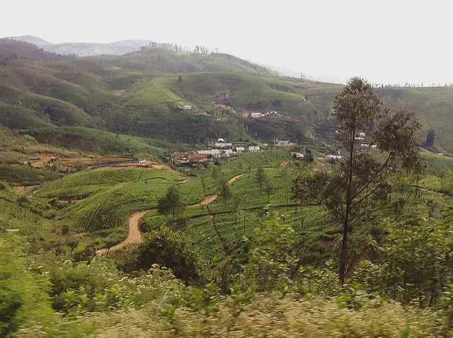 Little Adam’s Peak Ella Sri Lanka