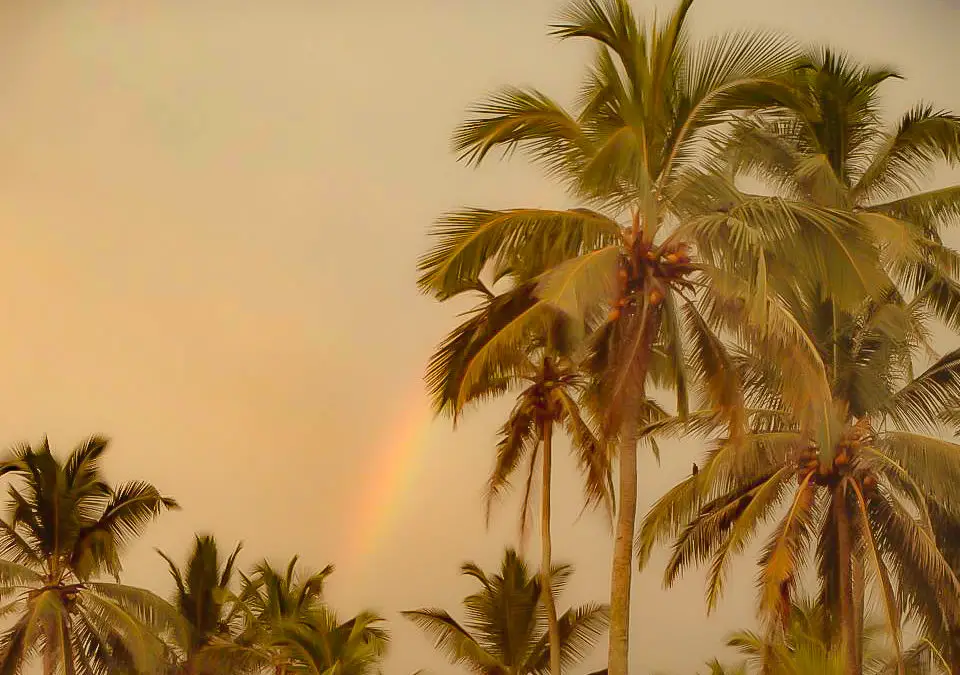 Things To Do in Mirissa