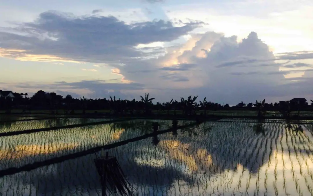 What To Do in Canggu