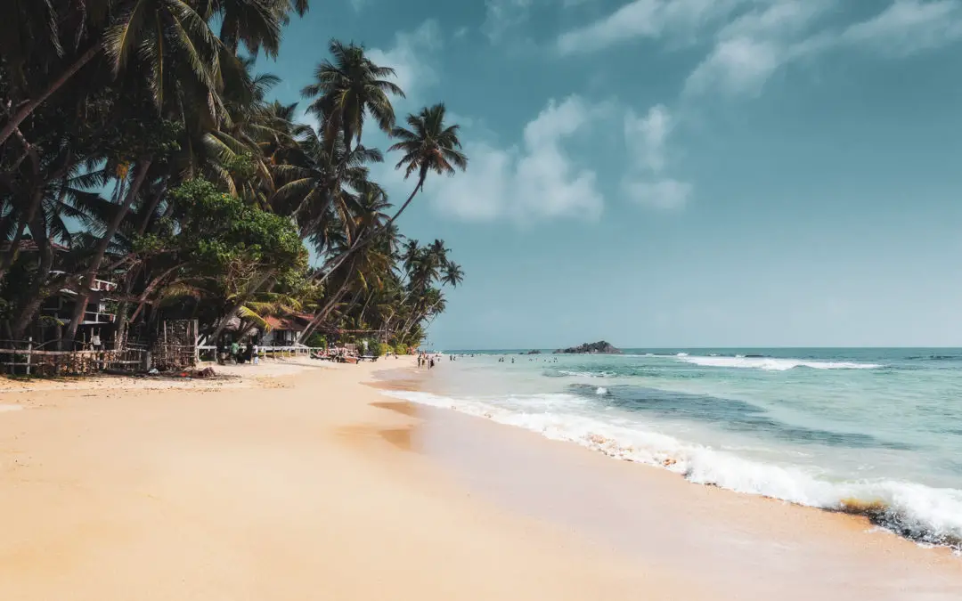 Things To Do in Hikkaduwa