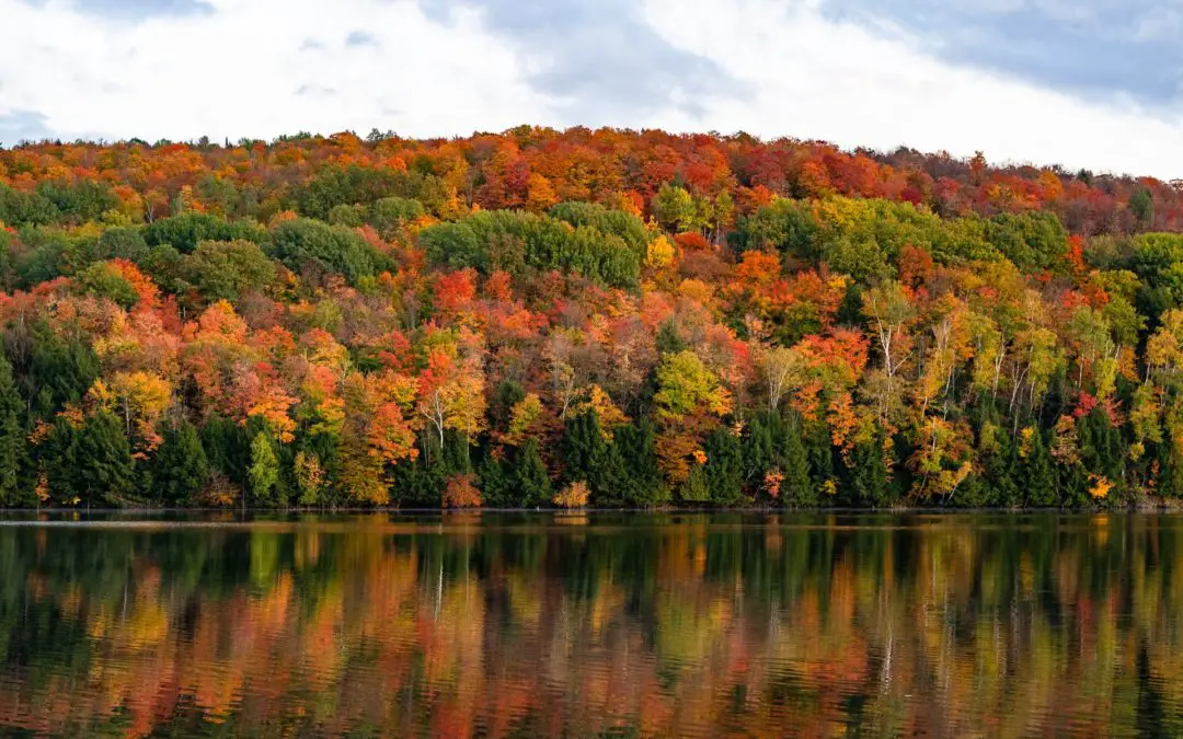 9 Unforgettable Ways to Experience Vermont in the Fall