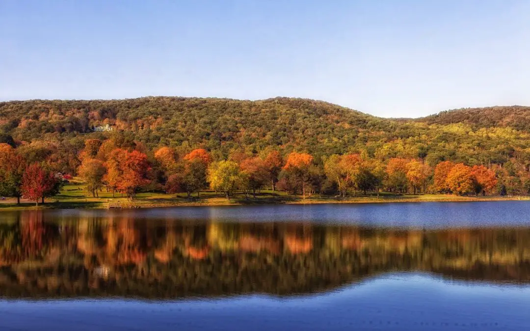 Top 12 Connecticut Wineries