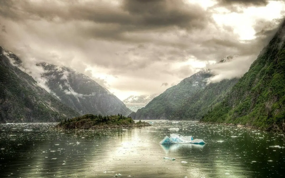 Best Time to Go Whale Watching in Alaska