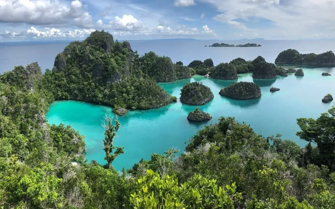 Your Best Guide to Diving in Raja Ampat