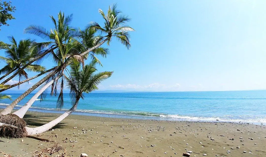 A Traveler’s Guide to Pura Vida at Playa Santa Teresa